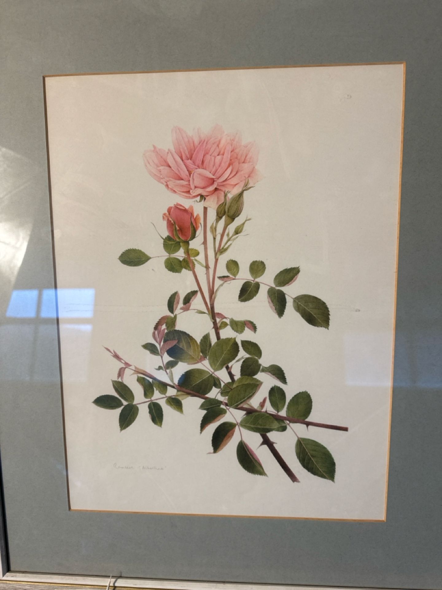 (ref 31) Flower Artwork Print - Image 2 of 3