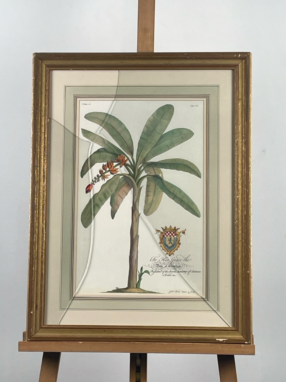 Botanical Prints x 2 - Image 3 of 3