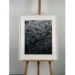 Artwork framed print