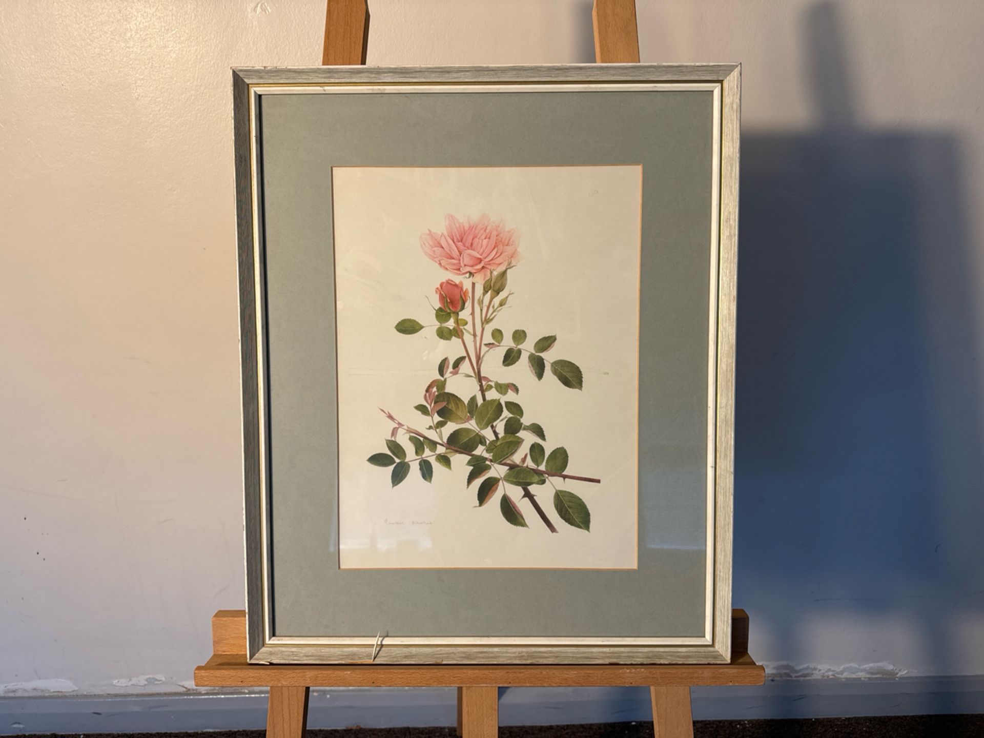 (ref 31) Flower Artwork Print