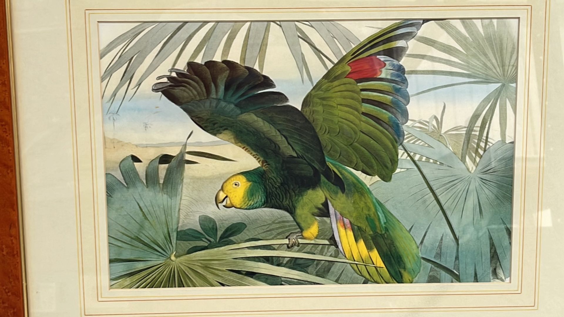 Artwork Print Set of 2 Exotic Birds - Image 2 of 3