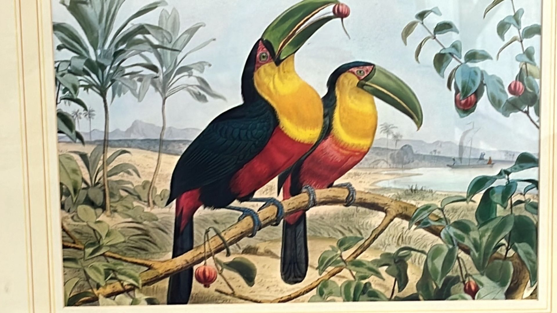 Artwork Print Set of 2 Exotic Birds - Image 3 of 3