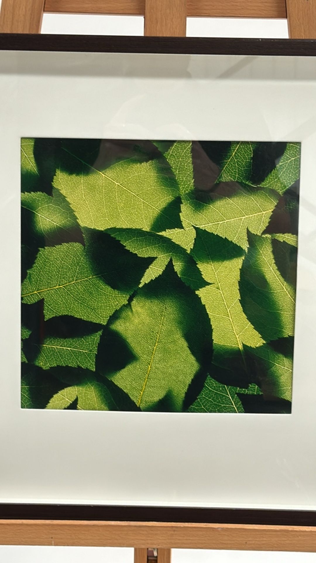 Artwork Print 'Leaves' - Image 3 of 3