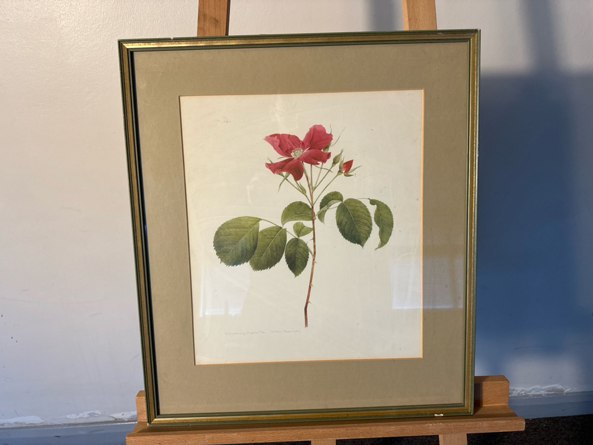 (ref 26) Flower Artwork Print