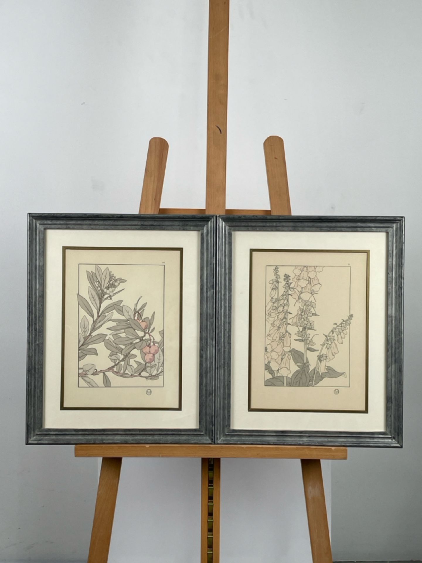 Artwork framed prints x 2