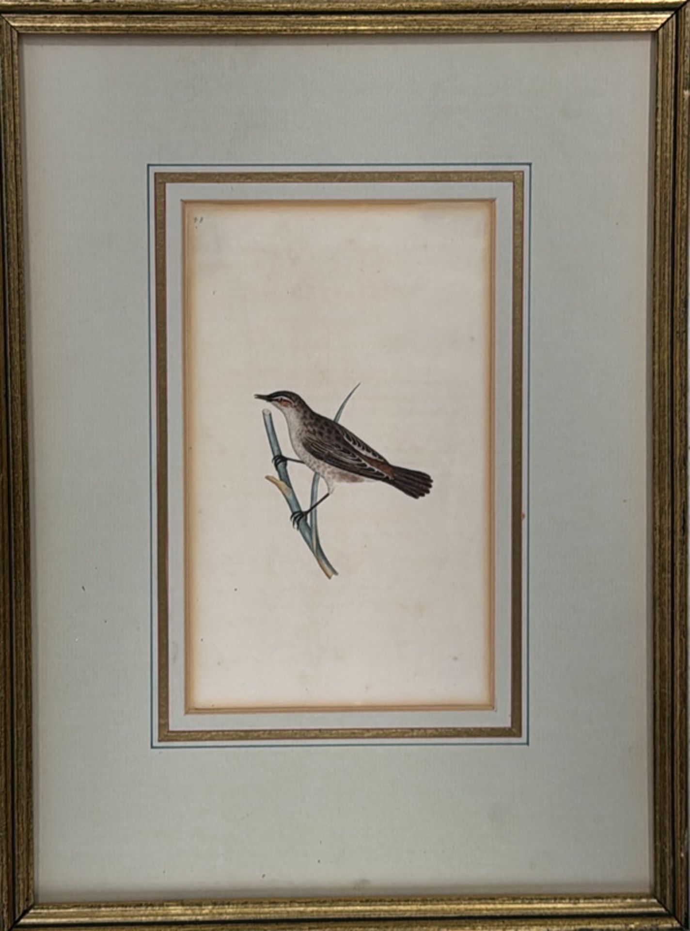 Bird Artwork Prints Set of 4 - Image 3 of 5