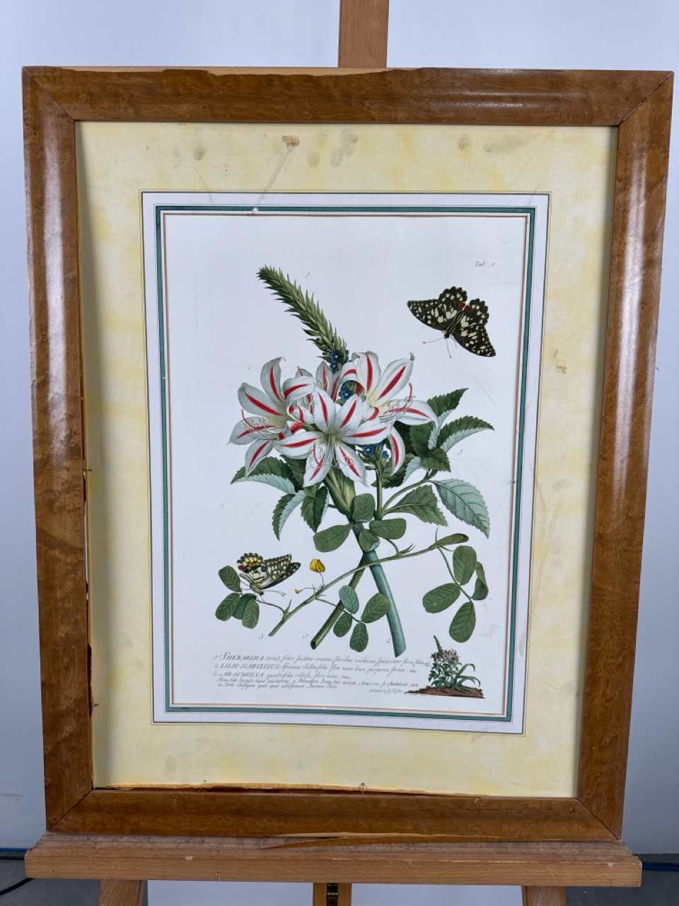 Flower Artwork Print - Image 2 of 2