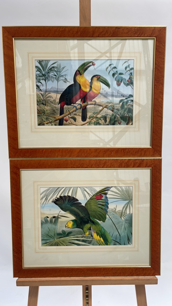 Artwork Print Set of 2 Exotic Birds