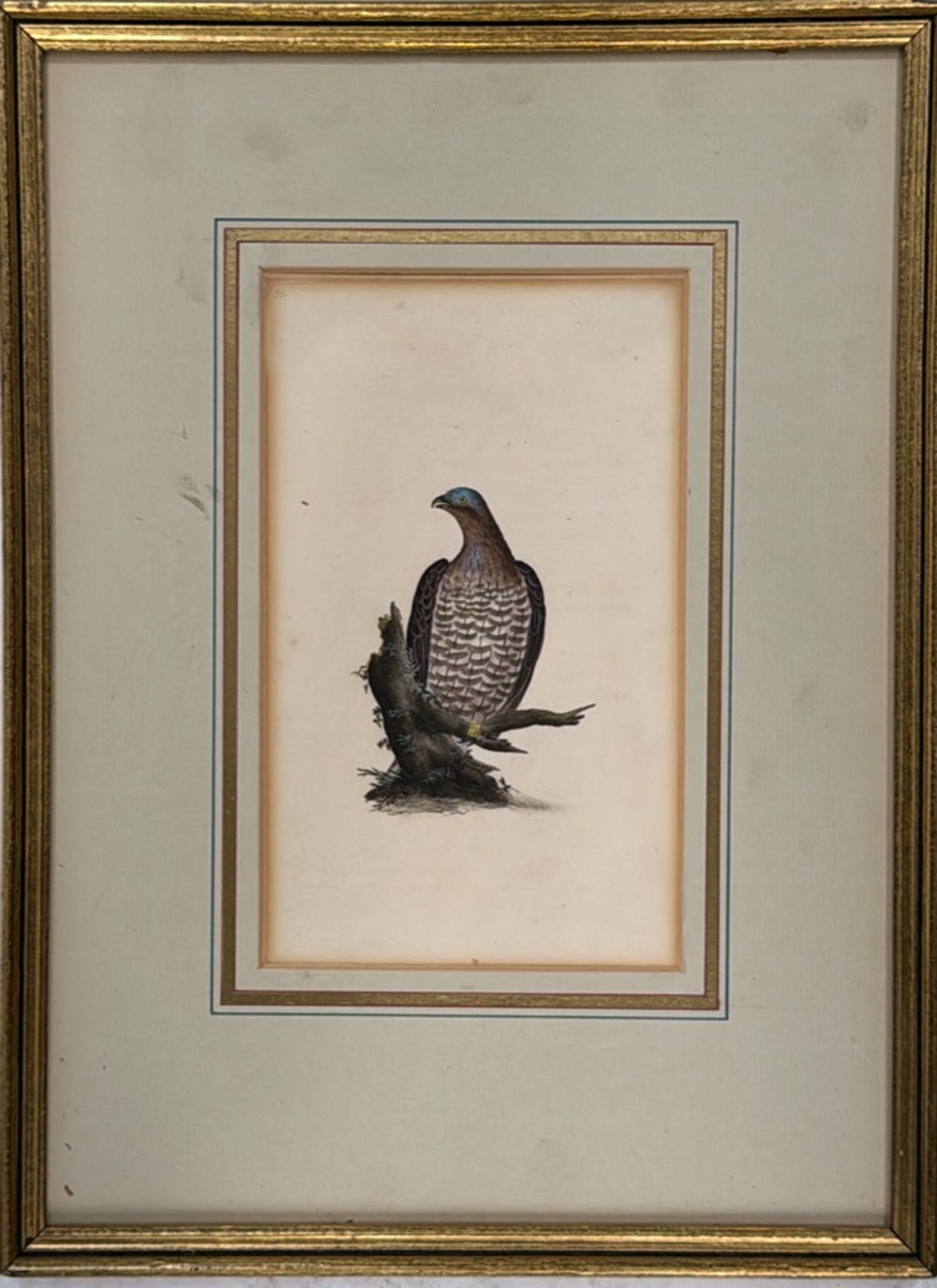 Bird Artwork Prints Set of 4 - Image 4 of 5