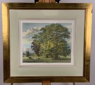 Tree Artwork Prints