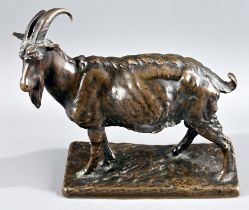 "Blickender Steinbock", Bronze, auf naturalistisch gestalteter, rechteckiger Plinthe stehender Bock