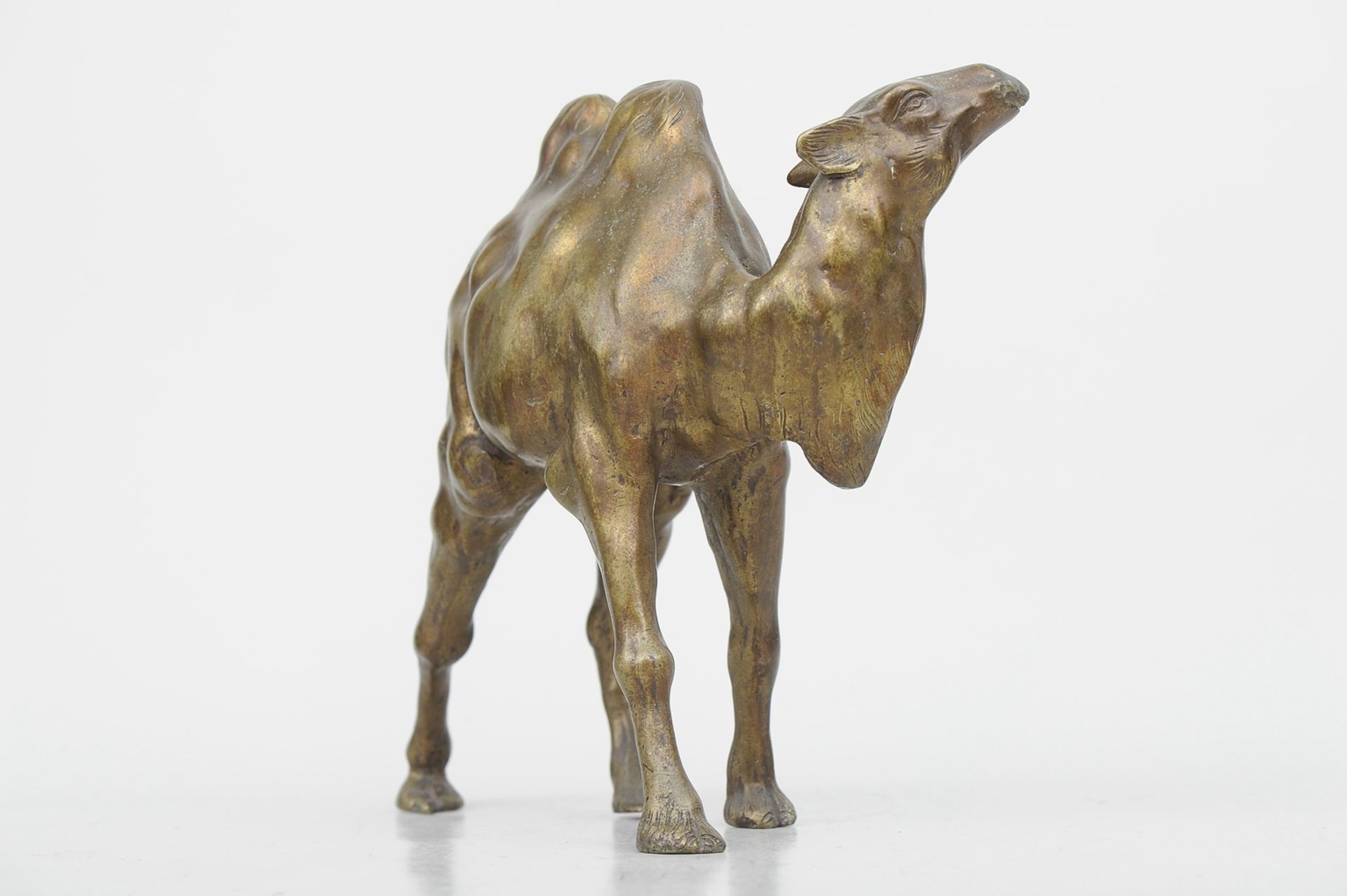"Schreitendes Kamel" - Bronzeguss mit gold-brauner Patina, ca. 22,5 x 26 cm, unter 2 Hufen gemarkt