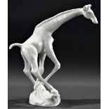 "Giraffe" - Meissen, Schwertermarke, 1. Wahl, Weißporzellan, Höhe ca. 22 cm, Schwanzende fehlt, son