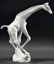 "Giraffe" - Meissen, Schwertermarke, 1. Wahl, Weißporzellan, Höhe ca. 22 cm, Schwanzende fehlt, son