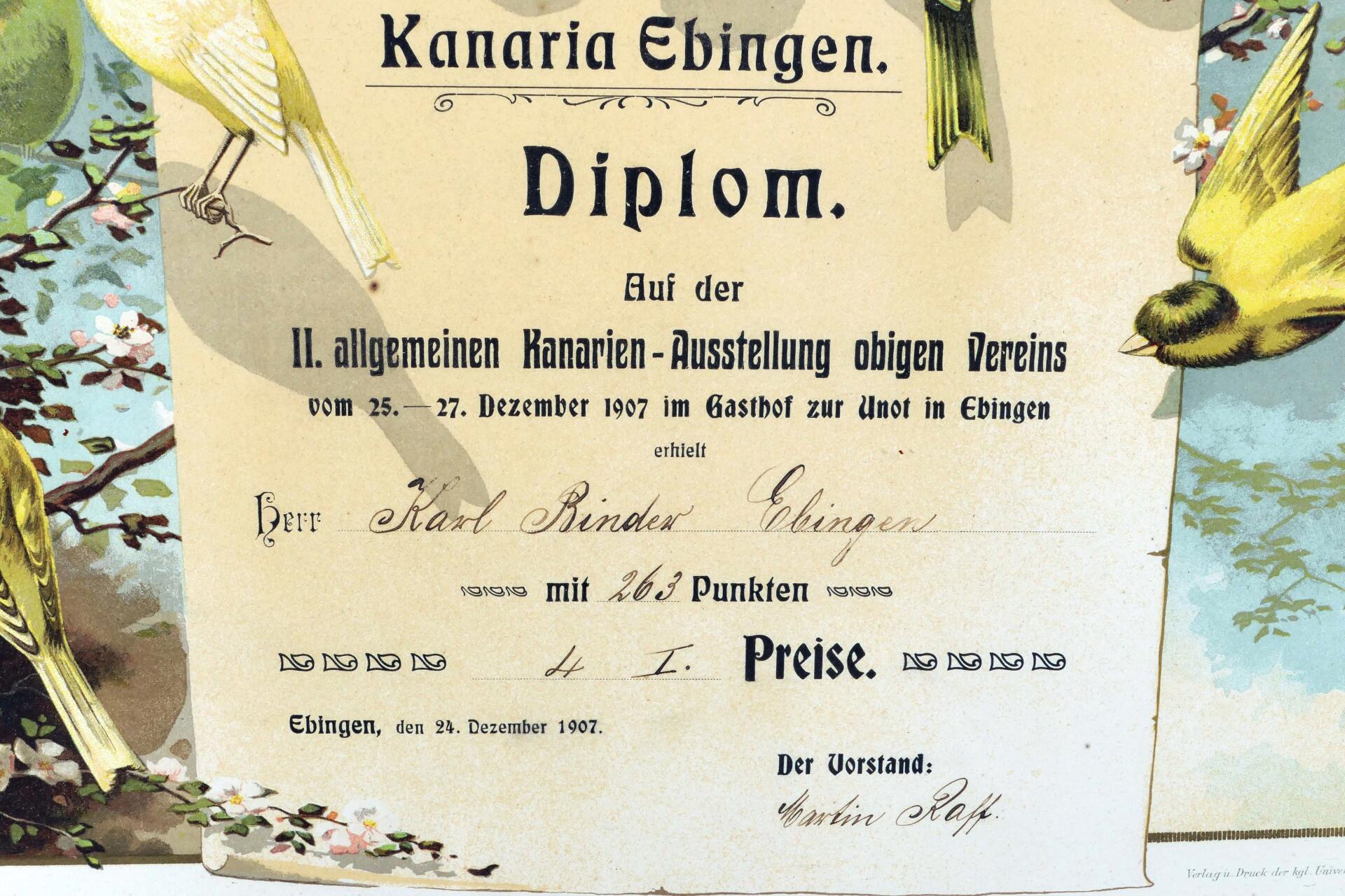 "Diplom ... der Kanarien - Ausstellung ... Ebingen 1907" - hinter Glas gerahmter Farbdruck, Rahmen - Image 3 of 3