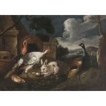 David de Coninck, Art des - Turkey couple, peacock, rabbit and hamster in front of the yard