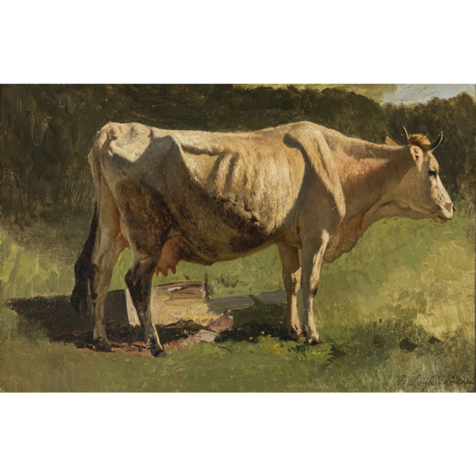 Josef Wenglein - Kuh auf einer Weide