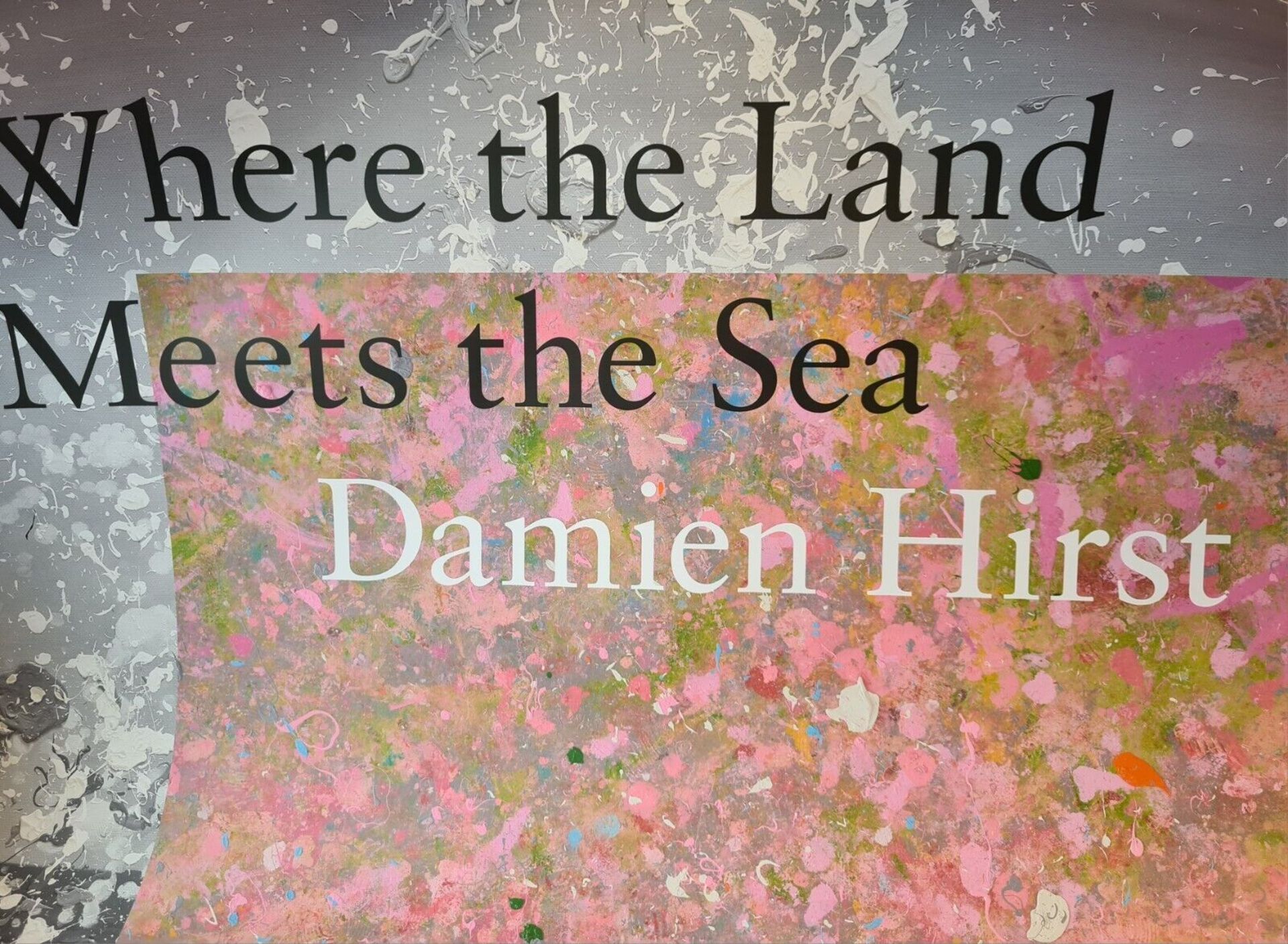 GENUINE DAMIEN HIRST SIGNED LAND MEETS SEA POSTER - NO VAT! - Image 5 of 7