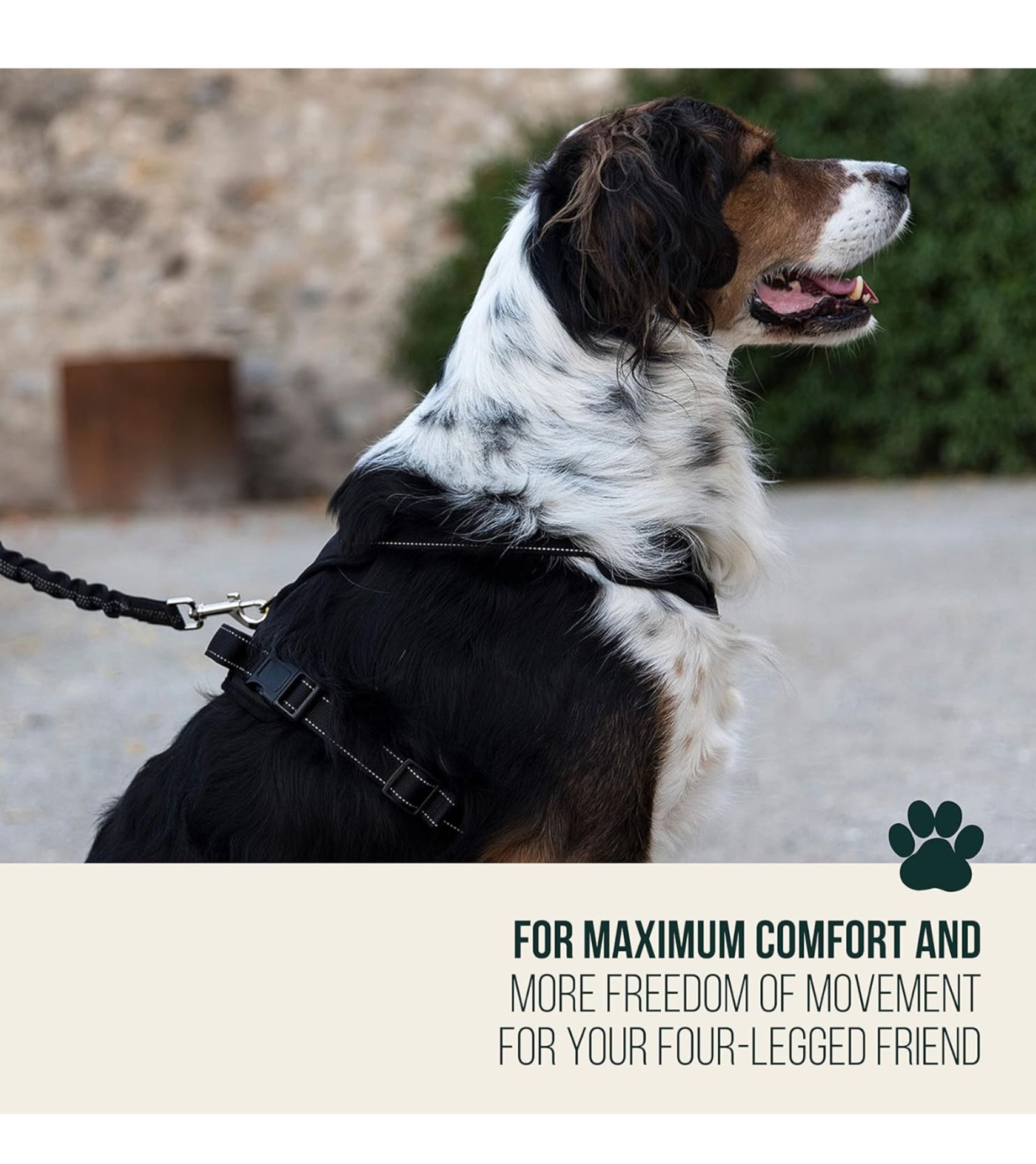 10 x Happilax Dog Harness in Assorted Sizes - Brand New and Bagged - RRP Â£249! - Image 19 of 19