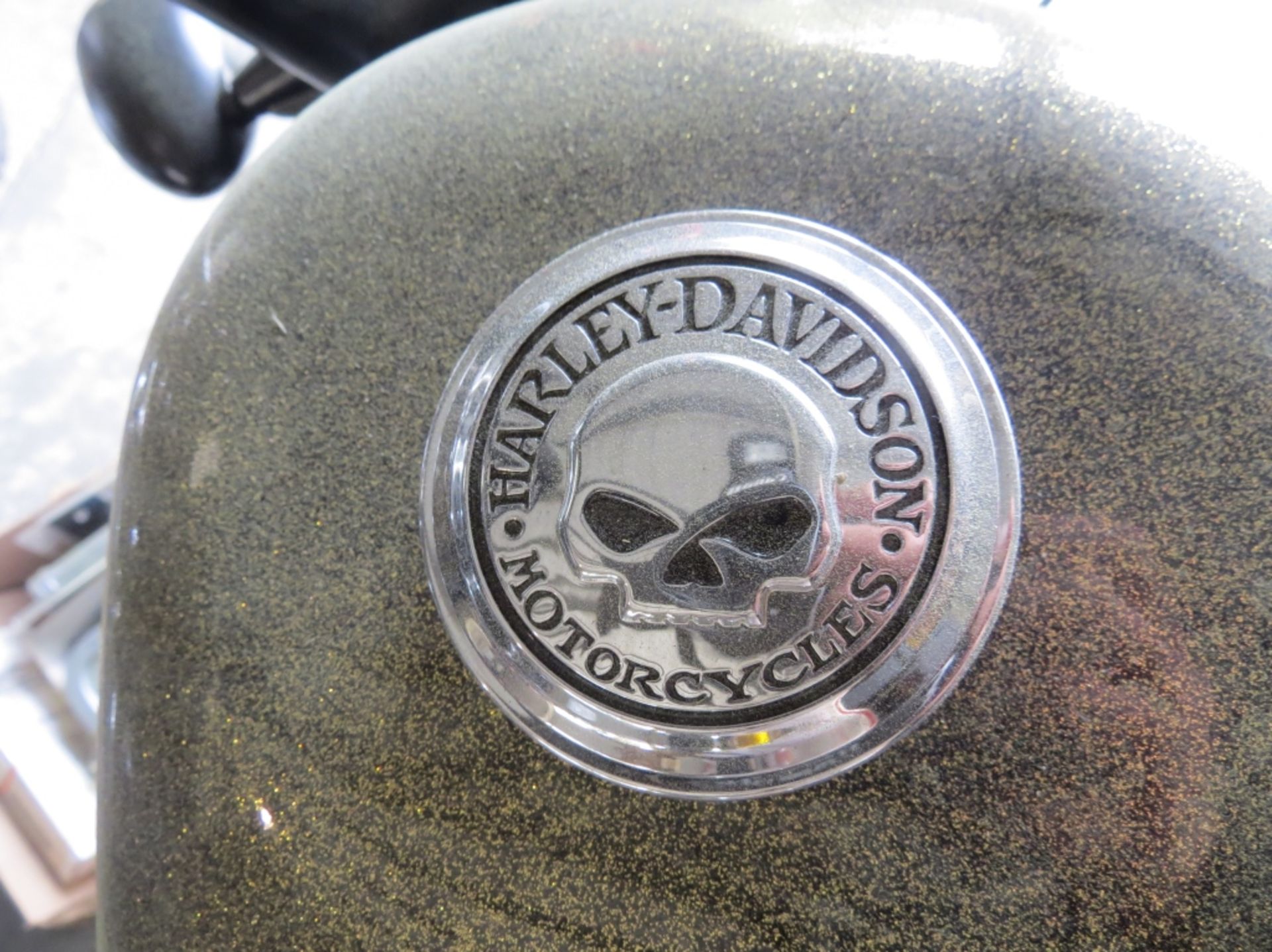 2013 Harley Davidson Sporster XL 1200 Model XL1200 MC VIN: 1HD1LC310DC428672 Gold Glitter & Black in - Image 11 of 13