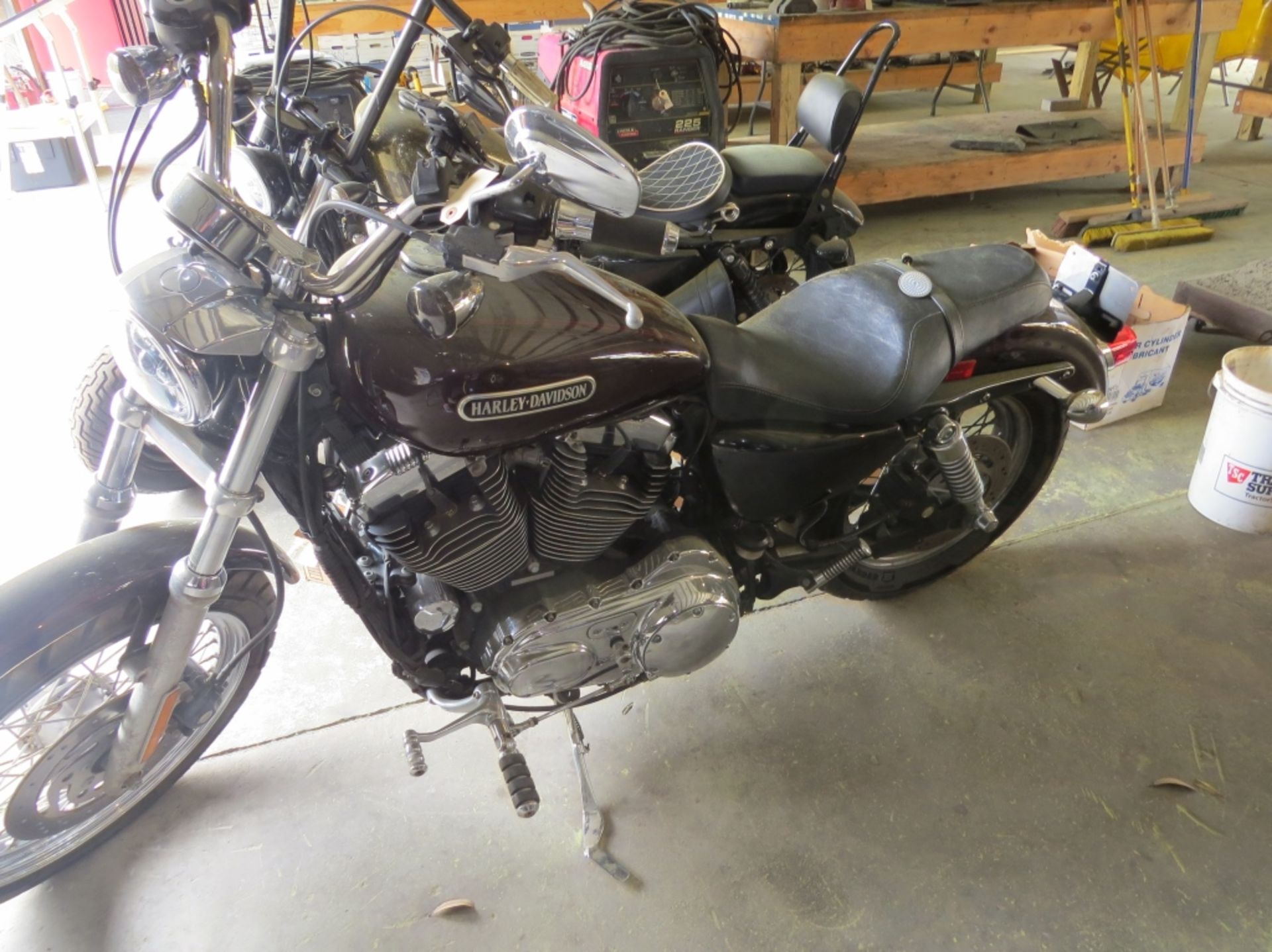 2007 Harley Davidson Sporster XL1200 VIN: 1HD1CX3137K443104 Glittery Garnet in color 16,000 miles