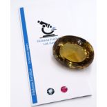 Übergroßer Rauchquarz, oval, transparent, 1125,3 ct., gelbliches Braun, anbei Zertifikat vom Edelst