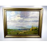 Ölgemälde von "Elisabeth BÜCHSEL (1867-1957)" Blick über Hiddensee