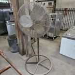 Shop Fan