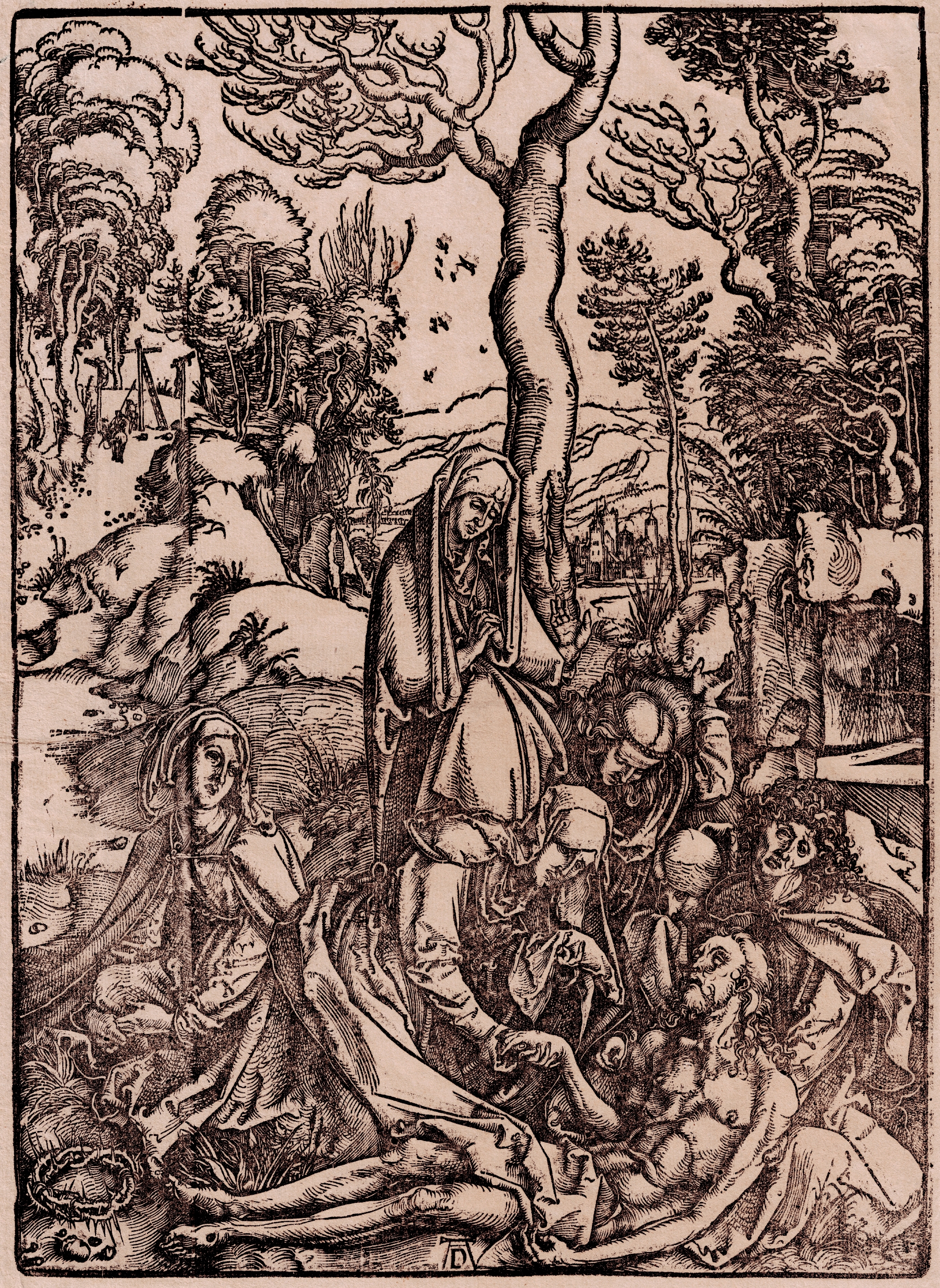 Albrecht Dürer (1471-1528)