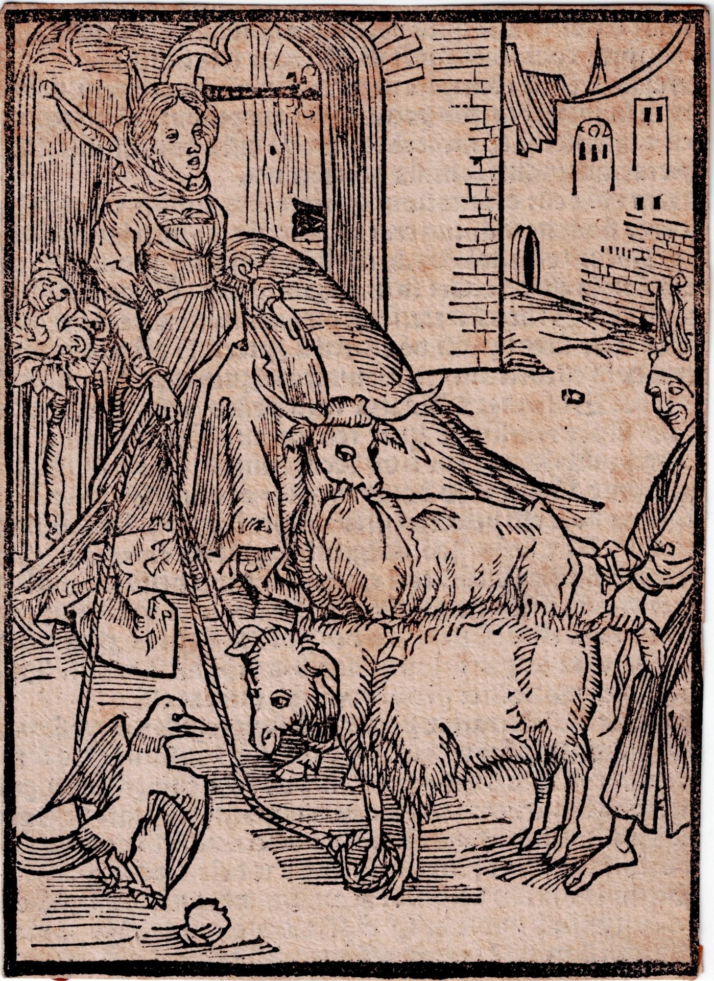 Albrecht Dürer (1471-1528)