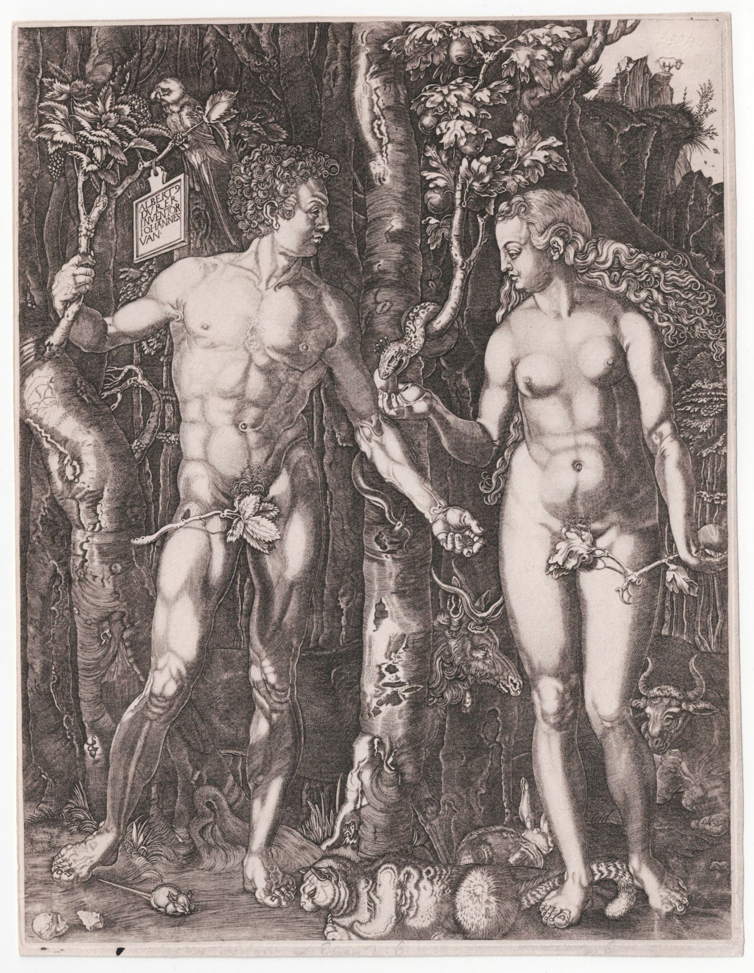 Albrecht Dürer (1471-1528), Jan Baptist Goossens (born Antwerp 1645,1655, died Antwerp after 1702)