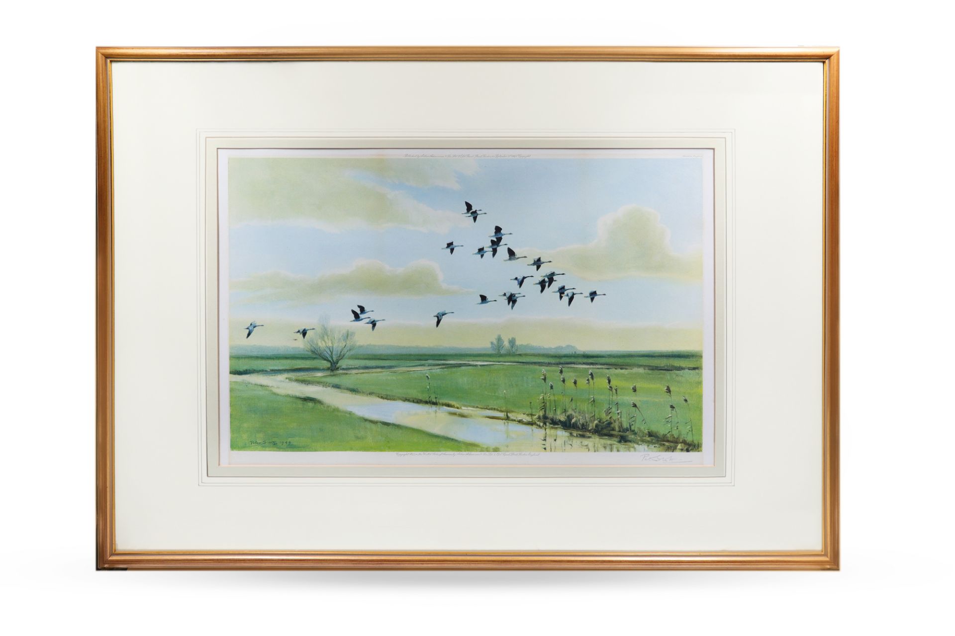 AFTER SIR PETER SCOTT, Geese in flight over canals