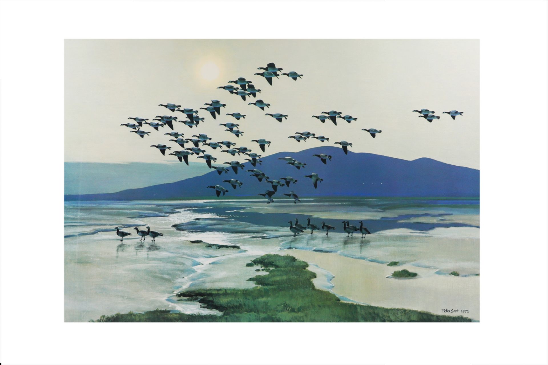 AFTER SIR PETER SCOTT (1909-89), 'Geese on shoreline, 1975', limited edition repro print, 40 x 55