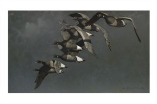 KEITH SHACKLETON (1923 - 2015), 'Brent Geese in Flight', oil on board, signed and dated '69, 60cm