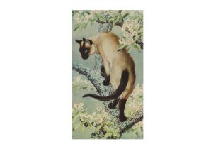 AFTER C. F. TUNCLIFFE RA (1901 - 1979), Untitled print of a Siamese cat, signed, 67 x 38 cm