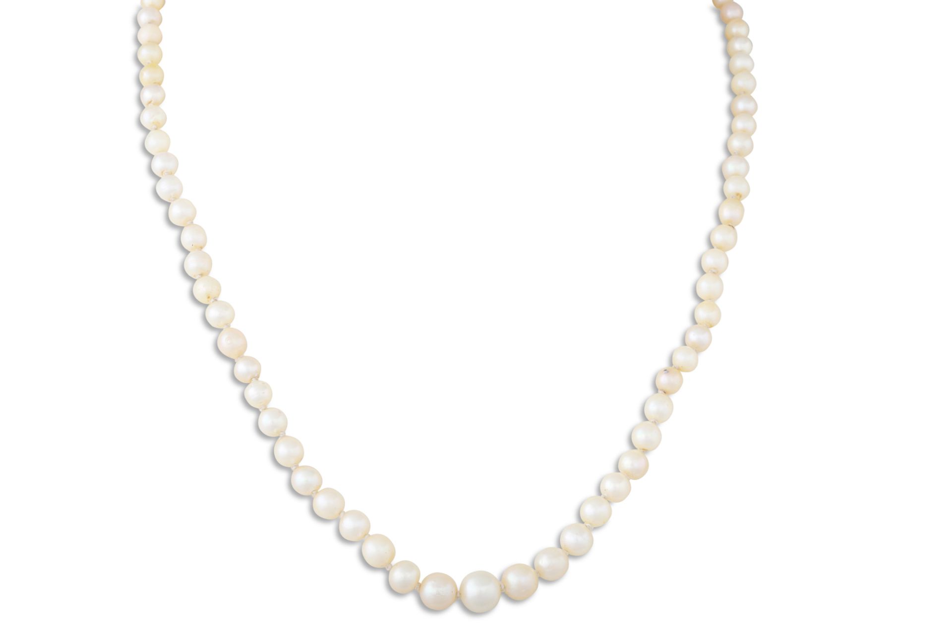 A CULTURED PEARL NECKLACE, to a 9ct gold clasp