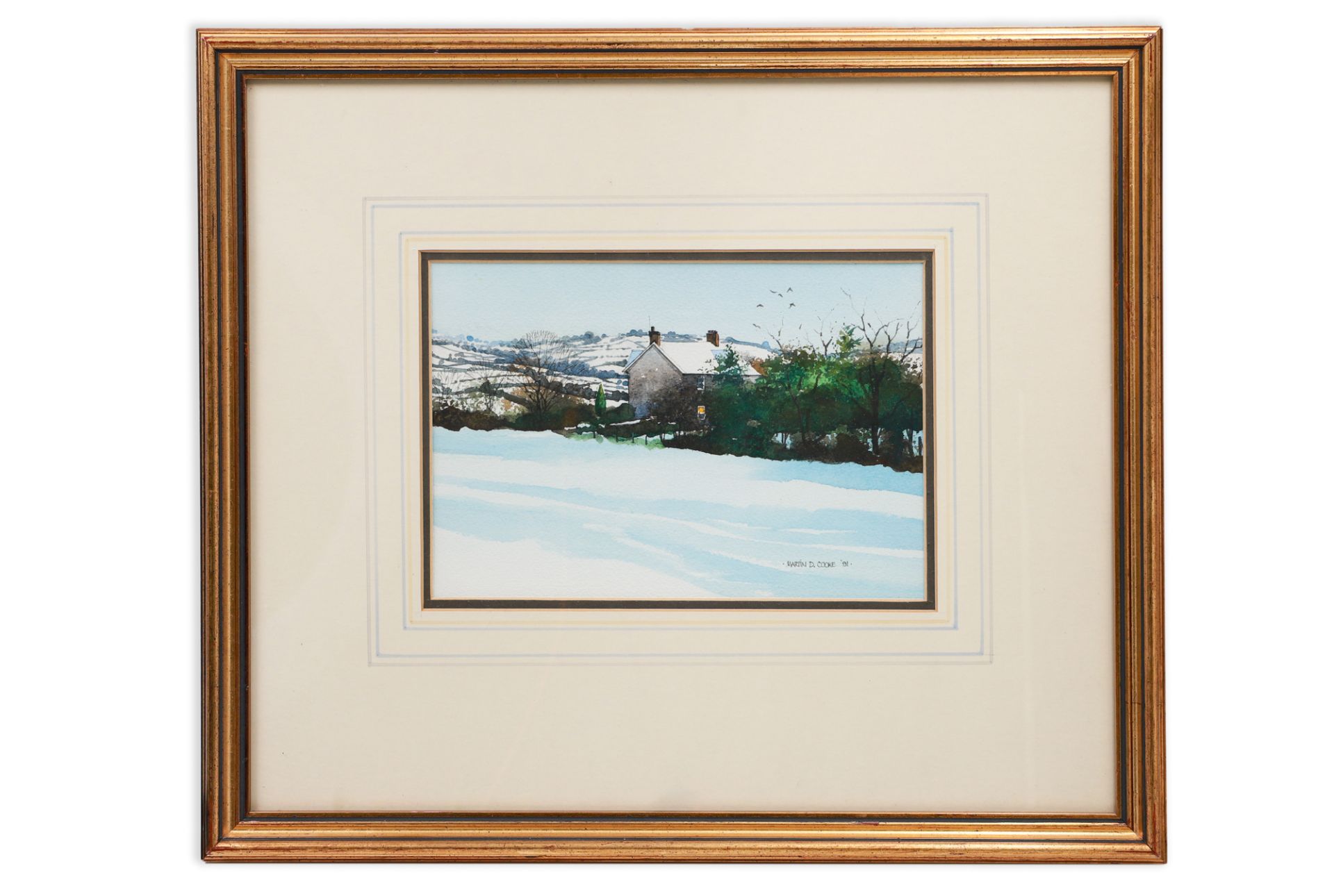 MARTIN D. COOKE (N. IRISH Contemporary), 'In the Castlereagh Hills', watercolour, signed and
