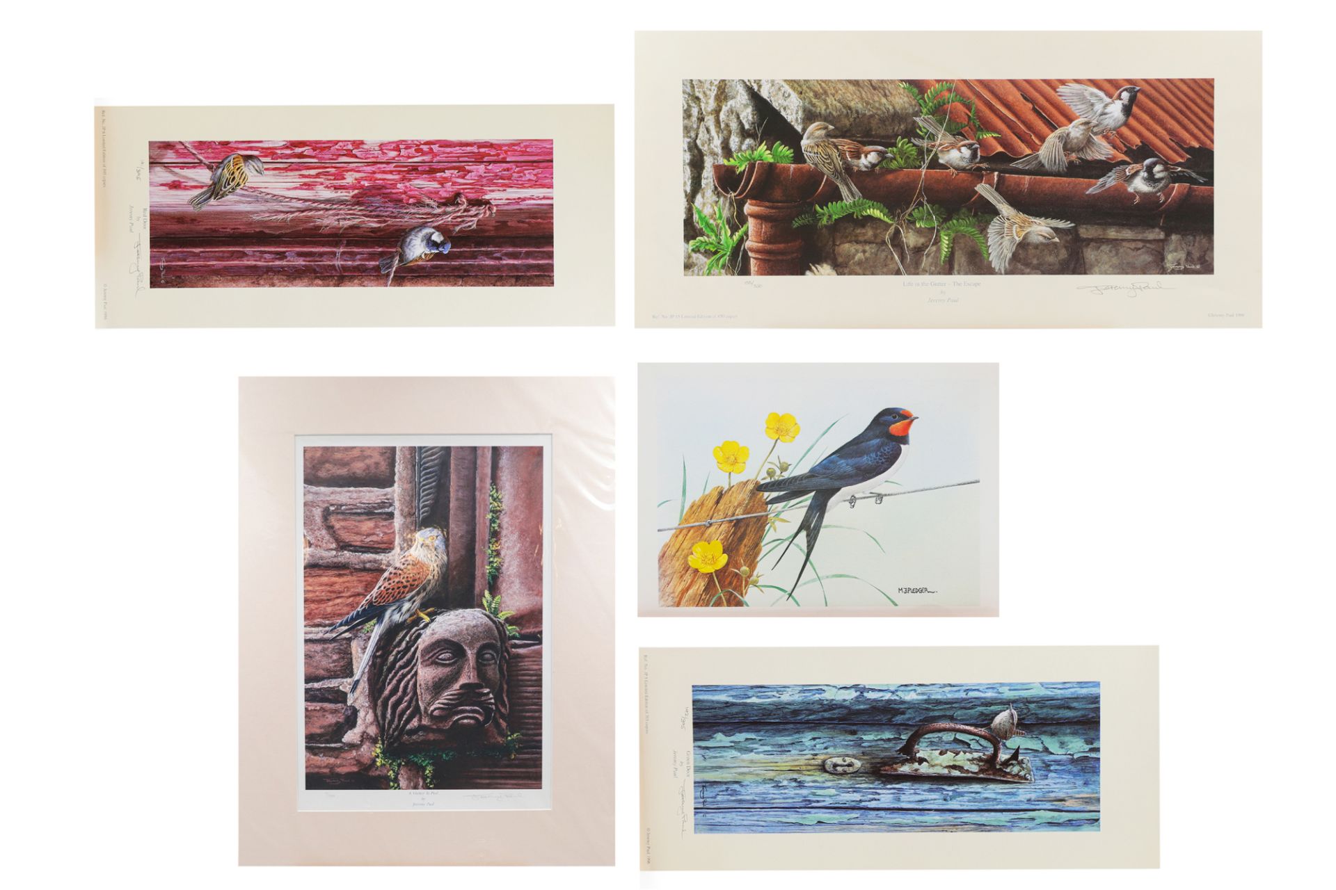A COLLECTION OF LIMITED EDITION PRINTS, by Jeremy Paul, featuring garden birds, etc.