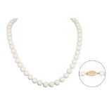 A CULTURED PEARL NECKLACE, cream/pink tones, with a 9ct yellow gold clasp