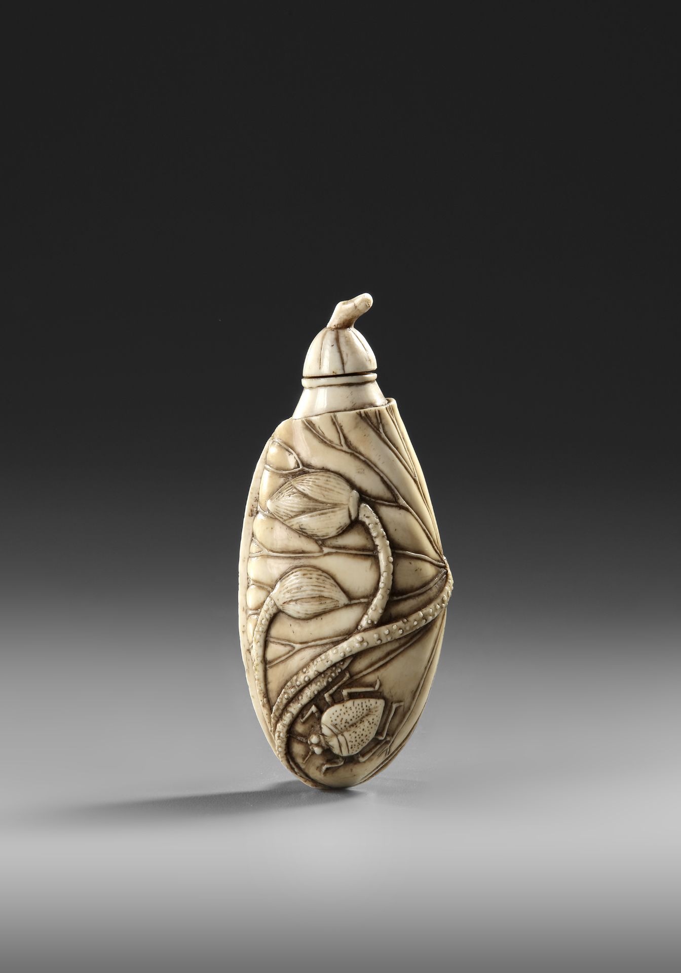 A CHINESE CARVED SNUFF BOTTLE, 19TH CENTURY