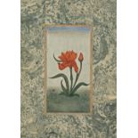 A STUDY OF A RED FLOWER, PROBABLY DECCAN, CIRCA 18TH CENTURY