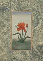 A STUDY OF A RED FLOWER, PROBABLY DECCAN, CIRCA 18TH CENTURY