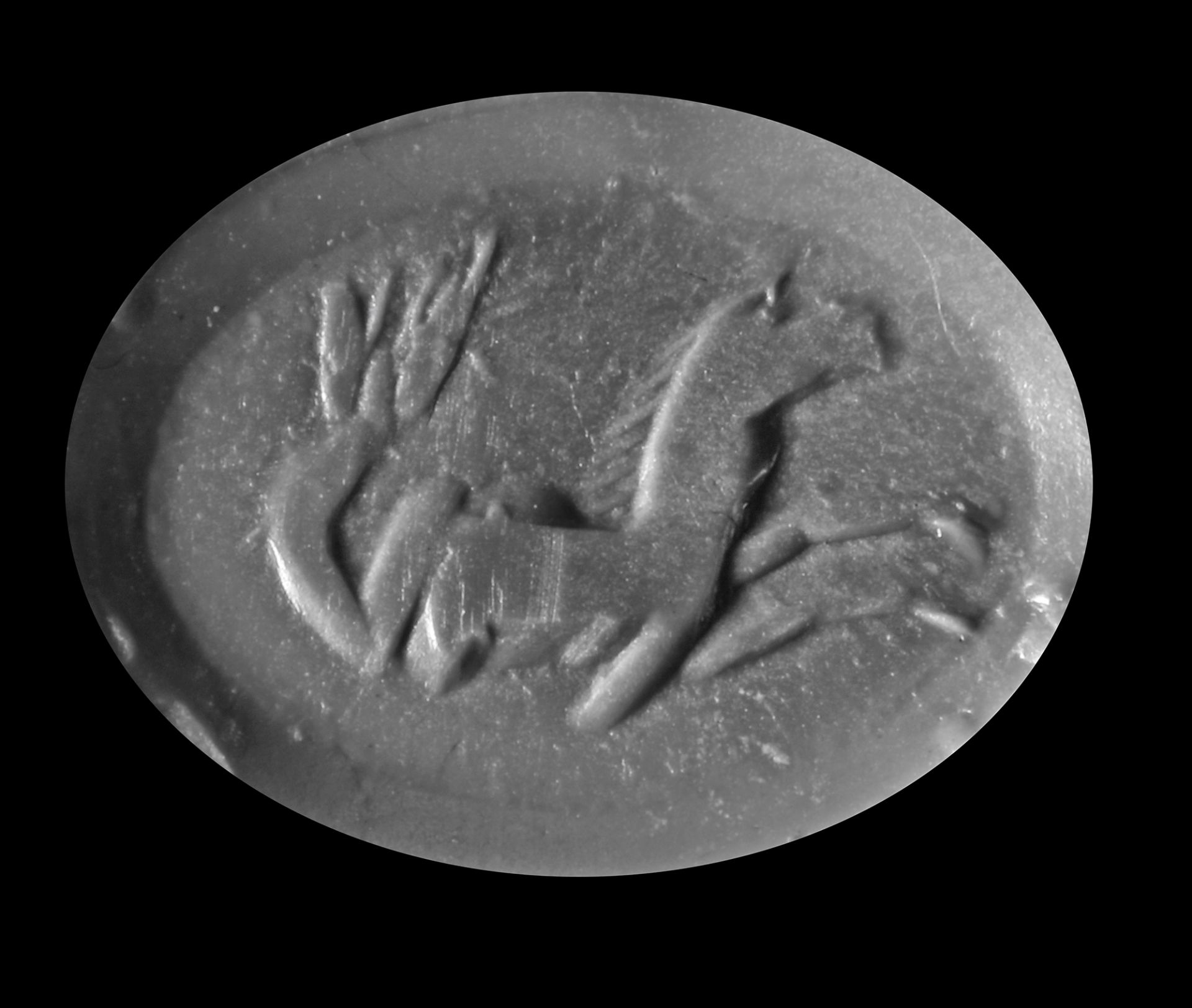 A ROMAN CARNELIAN INTAGLIO WITH SEA MONSTER, 1ST-2ND CENTURY AD - Image 2 of 2