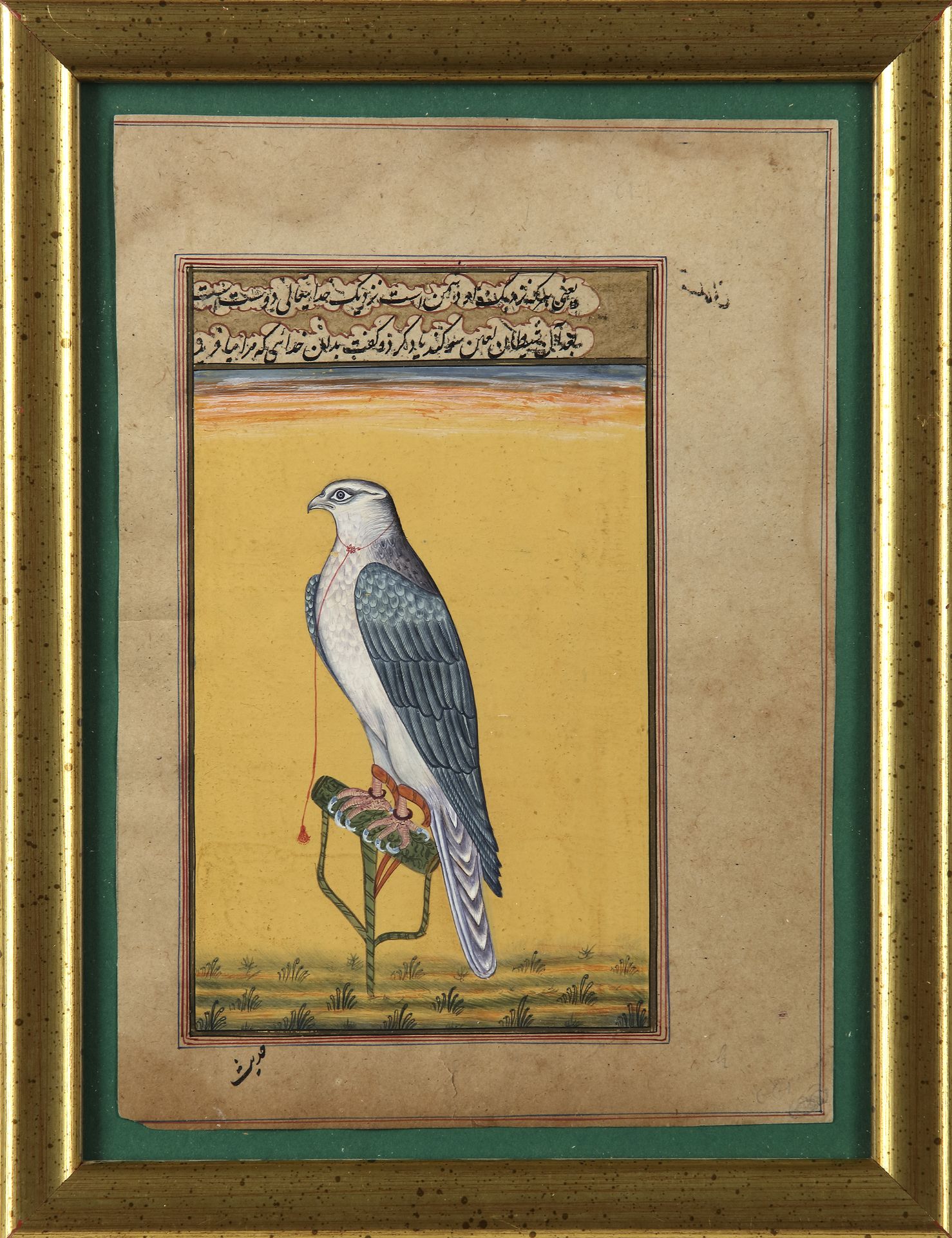 A PAINTING OF A FALCON, DELHI INDIA, LATE 20TH CENTURY