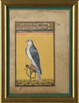 A PAINTING OF A FALCON, DELHI INDIA, LATE 20TH CENTURY