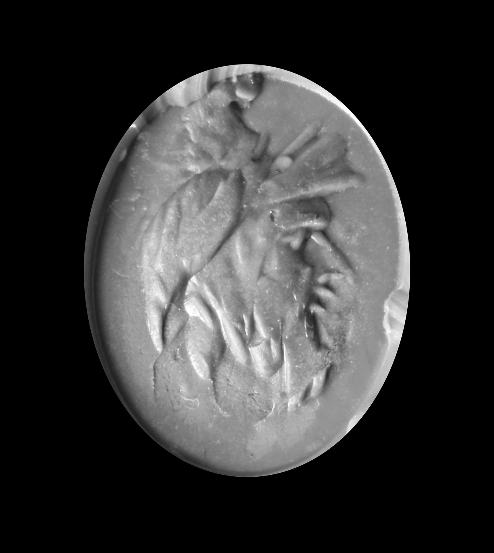 A RED JASPER INTAGLIO WITH A HEAD OF SILVANUS, 1ST CENTURY AD - Image 2 of 2