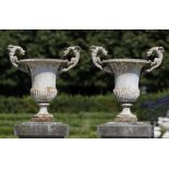 AN UNUSUAL PAIR OF FRENCH CAST IRON VASES WITH WINGED DRAGON HANDLES, THIRD QUARTER 19TH CENTURY