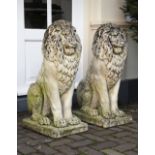 A PAIR OF COMPOSITE STONE MODELS OF SEATED LIONS, SECOND HALF 20TH CENTURY