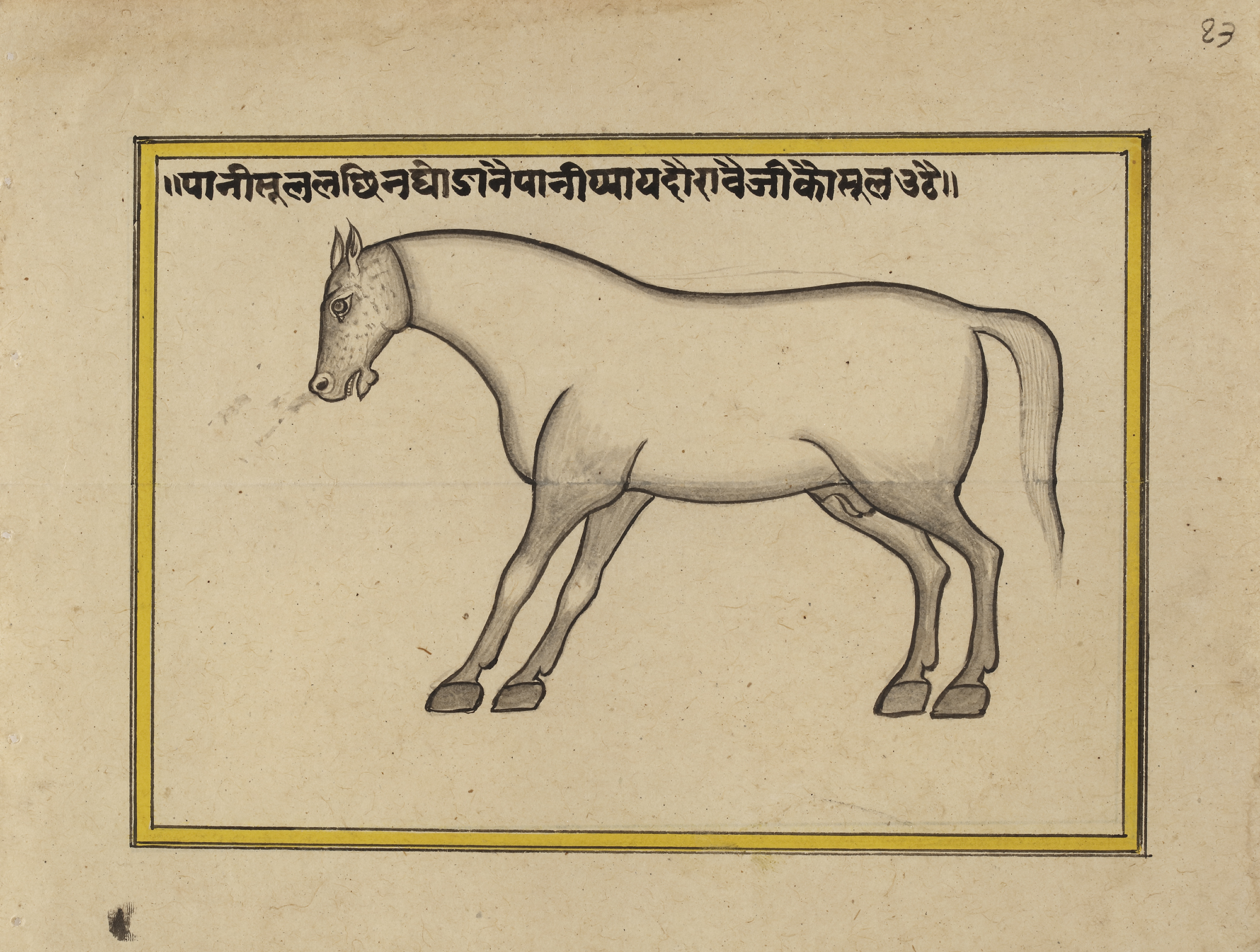 FIFTEEN ILLUSTRATED LEAVES FROM A MANUSCRIPT ON HORSES, INDIA, RAJASTHAN, 19TH CENTURY - Image 31 of 32