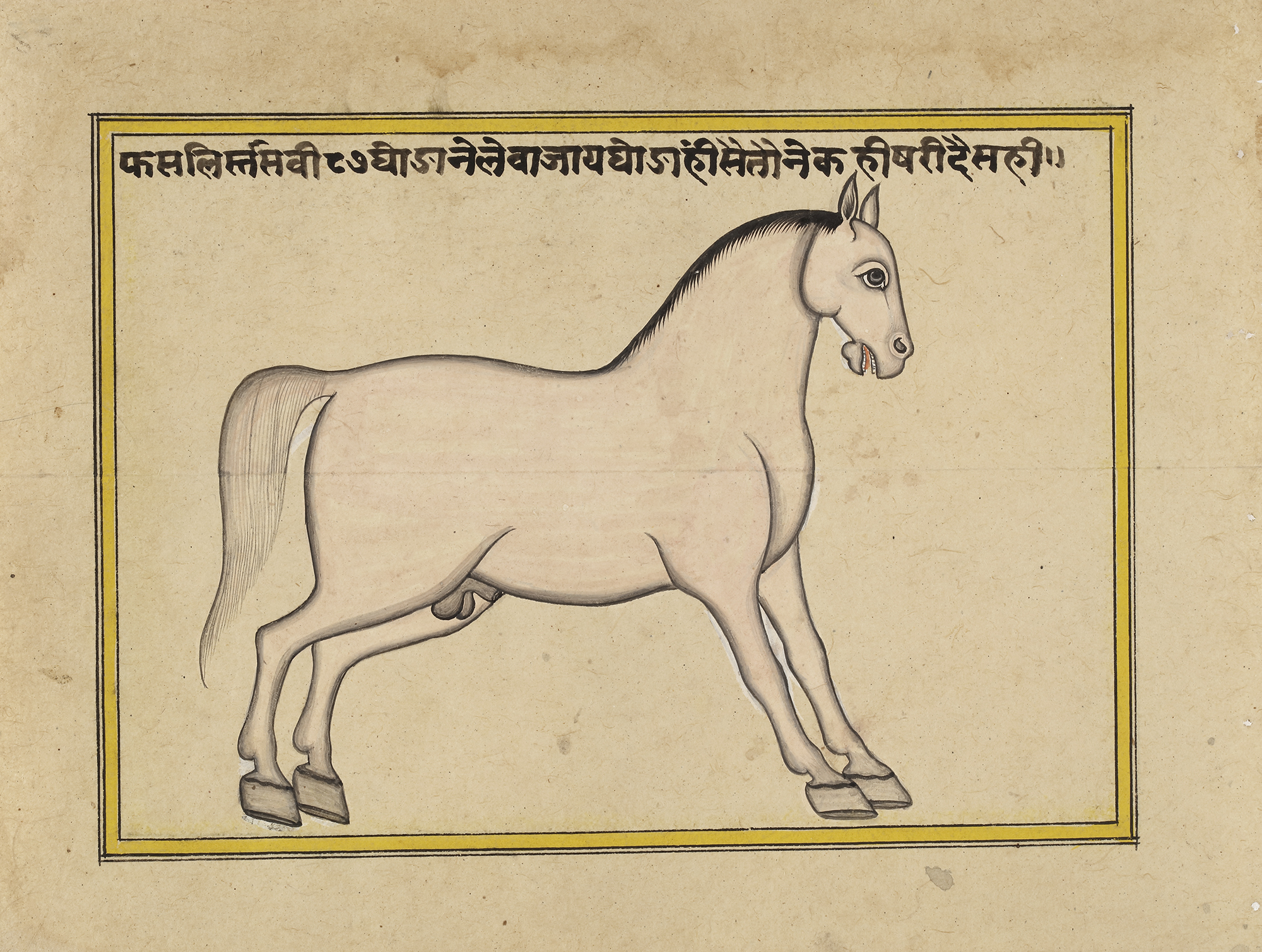 FIFTEEN ILLUSTRATED LEAVES FROM A MANUSCRIPT ON HORSES, INDIA, RAJASTHAN, 19TH CENTURY - Image 24 of 32